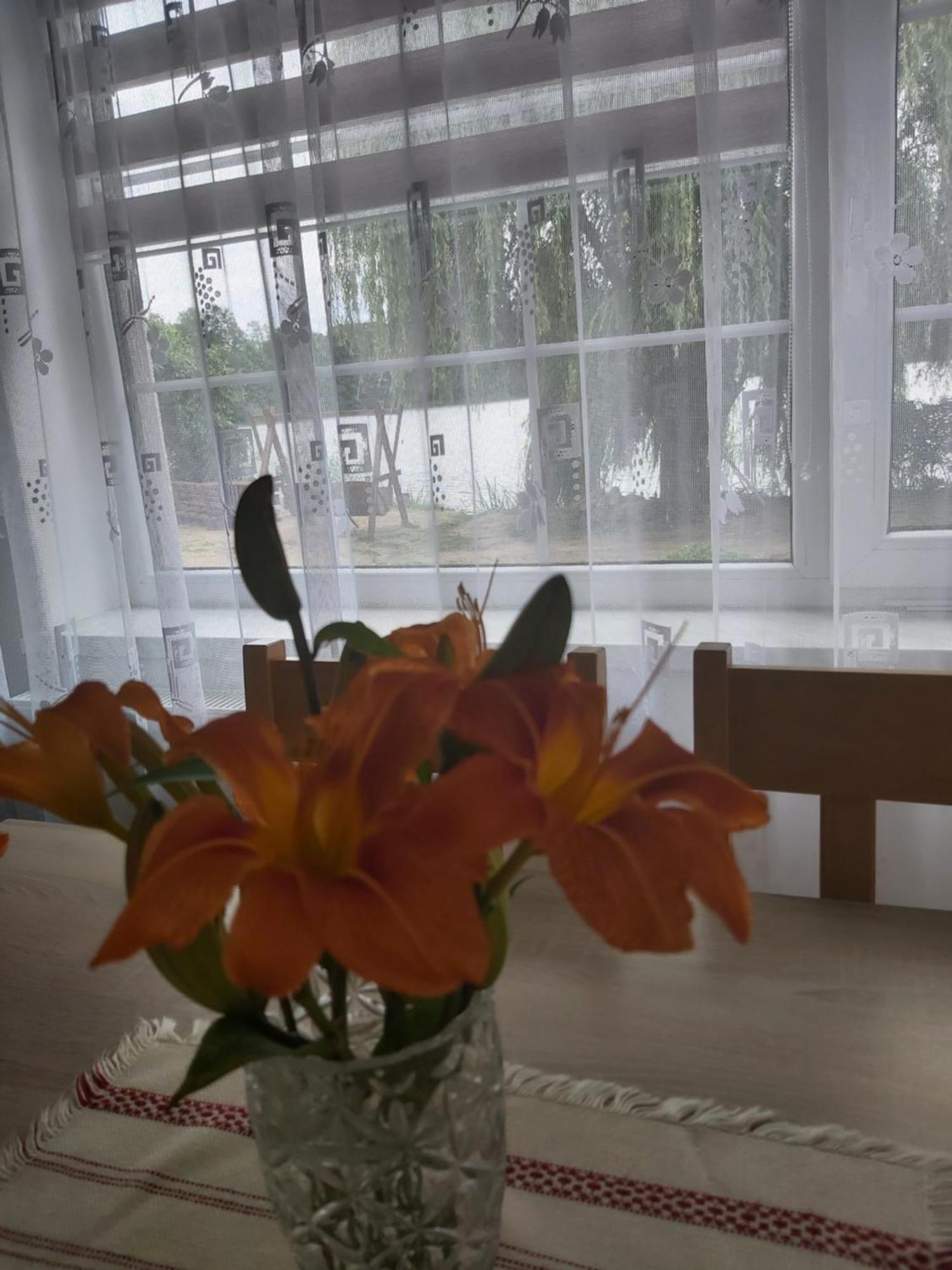 Agroturystyka "Jezioranka" Unichowo Buitenkant foto